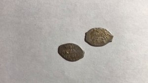 Монеты чешуйки