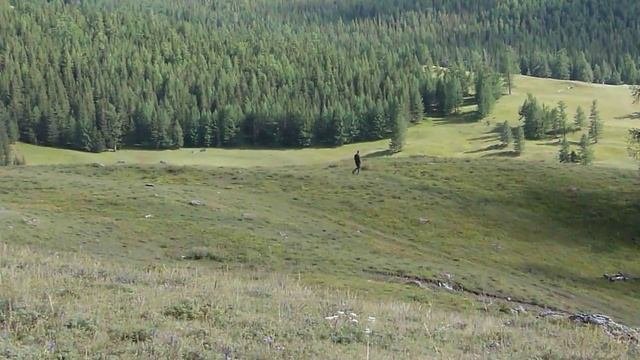 Паспарта