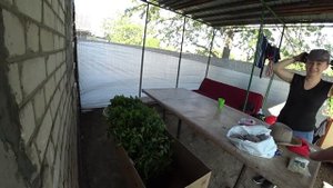 Сажаем рассаду ночью! Приводим дачный дом в порядок.