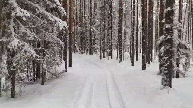 Катаемся на снегоходах смотреть онлайн