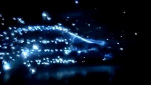 Reklama Nowy Volkswagen Passat B7 Kombi (Variant) 2010 Polska