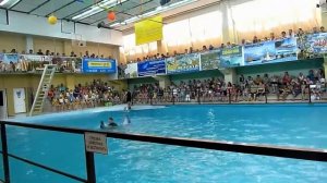 Дельфинарий Геленджик