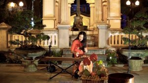 Dan Bau - Vietnamese Musical Instruments and Traditional