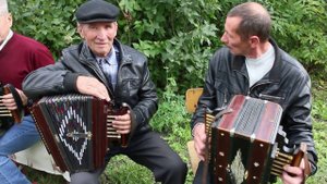 Барыня с пляской под Елецкую Рояльную гармонь
