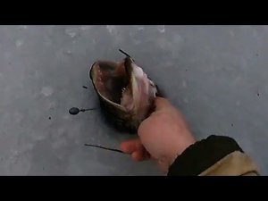 ЯРКИЕ КАДРЫ 2019 ГОДА \ ЭТО БЫЛО КРУТО !!!