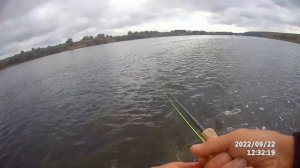 В непогожий день ...По старым местам . Fly fishing .