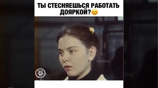 Стесняюсь спросить картинки. Промоутер мем. Кот смущается. Настроение -скоро на работу. Картинка не стесняйся.