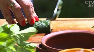 Рецепты здорового питания: летний салат из лебеды