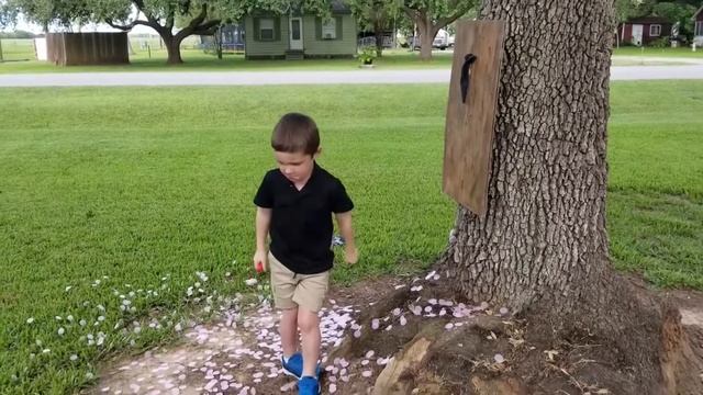 Top 10 Gender Reveal Party | Самые трогательные моменты вечеринки "Мальчик или Девочка?" смотреть онлайн