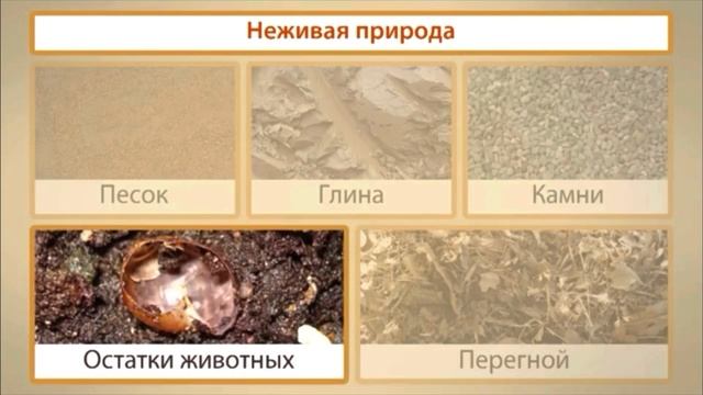 Почва!!! Это единство живой и не живой природы! смотреть онлайн