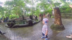 Отдых остров Бали январь 2019. С ребенком на Бали. Лес обезьян. Закат на Дримленде. Bali music vide