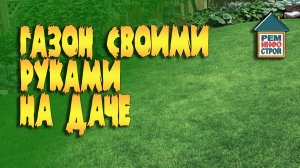 Газон на даче. Виды газонов для дачи. Разновидности газонов.