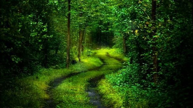 Как тёща перемудрила с квартирой зятя. Аудио рассказы смотреть онлайн