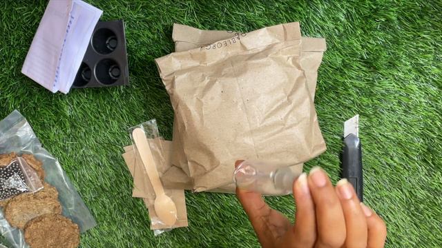 Unboxing gardening kit from "The affordable organic store"| Giveaway (Closed)| Seeds Germination смотреть онлайн