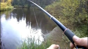 ХАРИУС.РЫБАЛКА НА ЛЕСНЫХ РЕЧКАХ ПЕЧОРЫ./РЫБАЛКА СЕВЕРА НА ПЕЧОРЕ.