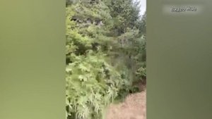 Нелепые и смешные ситуации дома и на работе