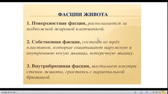 Мышцы, фасции и топография туловища и конечностей.