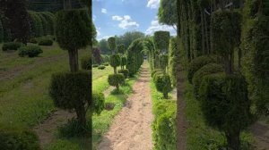 Премиум,, Ниваки, Обзор на арки из разных видов деревьев, разные формы туи, лиственные беседки - смо