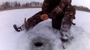 Рыбалка зимой на Шатурских озерах. Ловля на мормышку