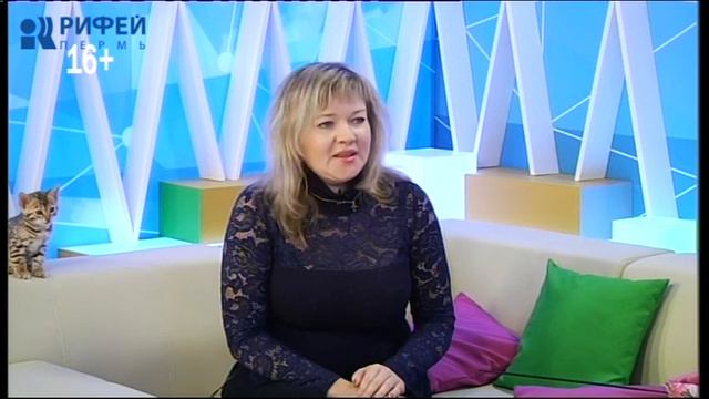 Настроение нового дня. Бенгалы и Тойгеры смотреть онлайн