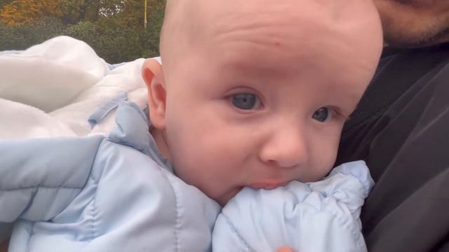 Прогулка по Ботаническому саду/ Москва/ Воробьёвы горы/ МГУ/ Мы возмущены смотреть онлайн