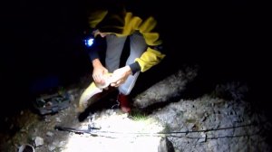 НОЧНАЯ ЛОВЛЯ СОМА НА РЕКЕ УРАЛ. РЫБАЛКА В ЗКО. FISHING KAZAKHSTAN/ NIGHT