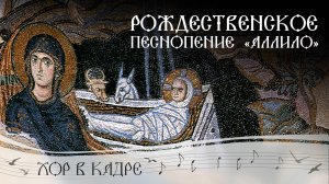Рождественское песнопение «Аллило». Братский хор Свято-Елисаветинского монастыря. Грузинская колядка