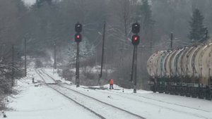 Станция Серебрянка. Встреча пригородного и скорого поезда