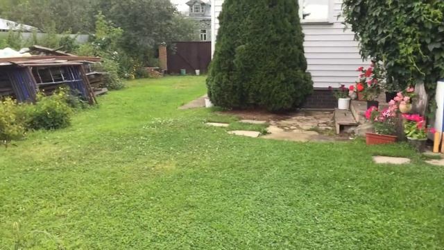 Прогулка по нашему саду . Сезон 2020 смотреть онлайн