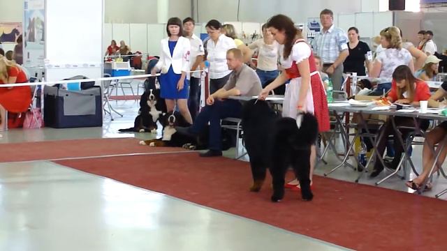 M4H02125 смотреть онлайн