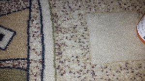 Как почистить ковролин За 3 Секунды!