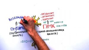 Научпок - Как алкоголь влияет на мысли