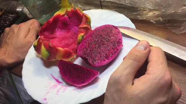 Как правильно выращивать ПИТАХАЙЮ (РОЗОВУЮ) самый красивый сорт!!! смотреть онлайн