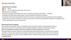 Круглые черви. Строение и особенности развития. Аскарида. Острица.