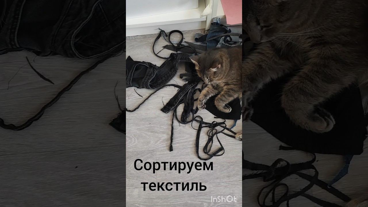 #сортировкамусора #переработкамусора #переработкаотходов #нольотходов #волонтеры #ecology #zerowaste