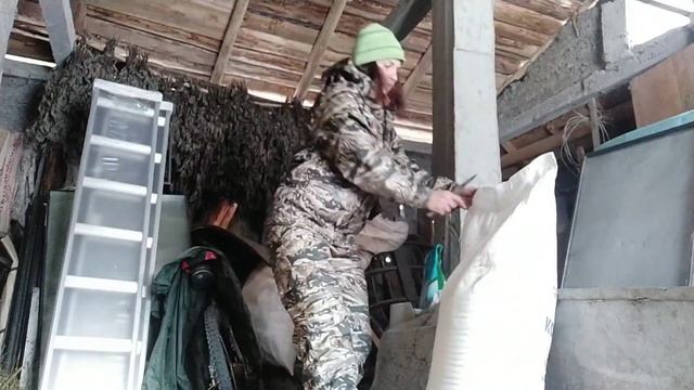 Дела в хозяйстве. Свинья опоросилась. Овцы окотились. Куры на прогулке. Кошка охраняет зёрна.