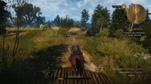 The Witcher 3: Wild Hunt GTX 950 2 gb