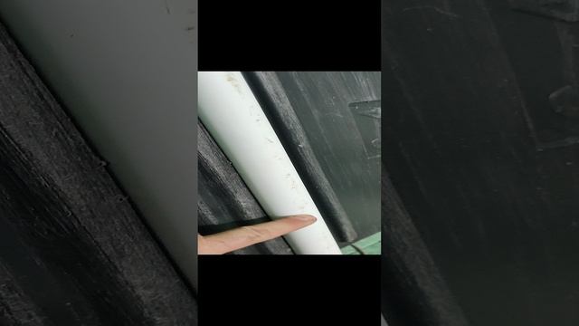 VID_20231210_171031.mp4