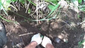 600 КГ "ЗАПРЕЩЁННОГО" ЖД МЕТАЛЛА! ЗДЕСЬ ЗАКОПАЛИ МЕТАЛЛ ПОСЛЕ РЕМОНТА ПУТЕЙ!