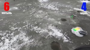 Битва за плотву ЧЕРВЬ VS МОТЫЛЬ. Рыбинка, рыбалка