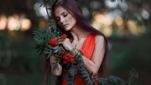 Шпехт Андрей. Шиповник ( муз.А.Шпехт  сл. В.Холод)