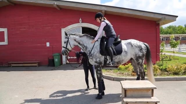 КАКОЙ УЖАС... Я Боюсь Лошадей || VLOG На Конюшне смотреть онлайн