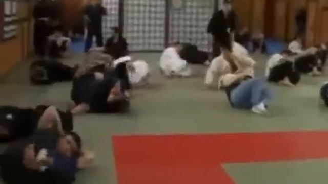 Бадюк стритфайтинг