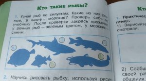 Окружающий мир 1 класс Школа России А. Плешаков Домашнее задание 4 варианта выполнения