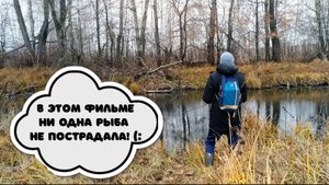 ГДЕ ПОЛОВИТЬ#3 р.Тавровка. Прогулка со спинингом по красивой речушке