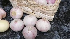 Можно ли у нас высаживать китайский чеснок? (Садовод Андрей Туманов)