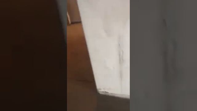 СТЯЖКА ПОЛА в Уфе. Окончание работ по полусухой стяжке пола.
