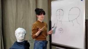 Тема 17. Пропорции головы человека. Теория.