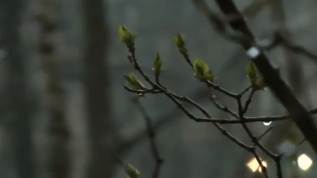 Апрельская гроза смотреть онлайн