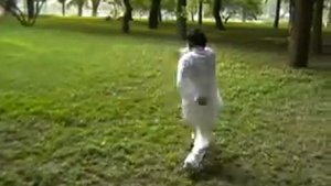 Master Han Yanwu- Baguazhang, Beijing